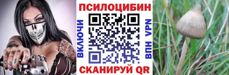 Псилоцибиновые грибы MAGIC MUSHROOMS  Нытва 